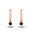 Gold Earrings With Ruby